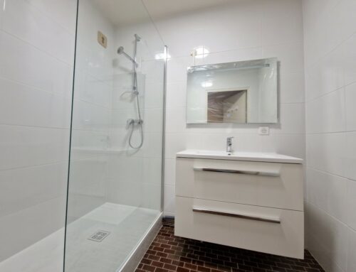 Rénovation SDB Tassin