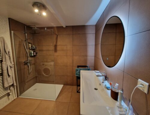 Rénovation SDB Lyon 1er