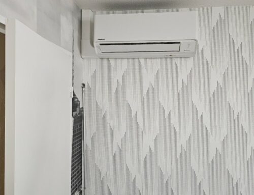 Climatisation bisplit Panasonic Lyon 3