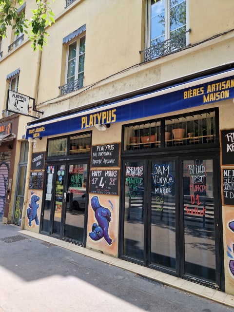 Pub Platypus Lyon climatisation monobloc